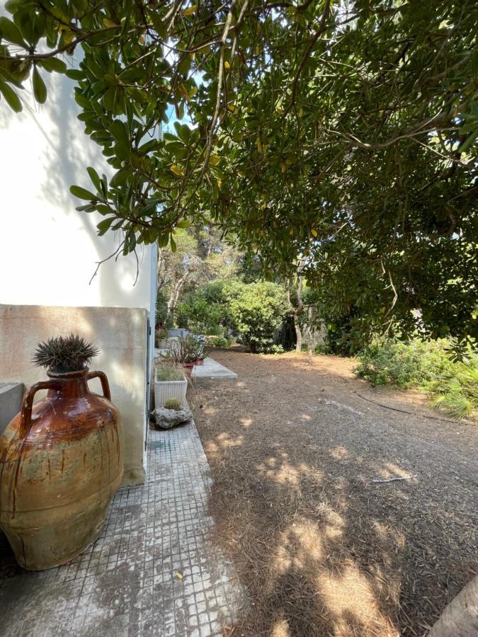 Villa Emma 멜렌두뇨 외부 사진